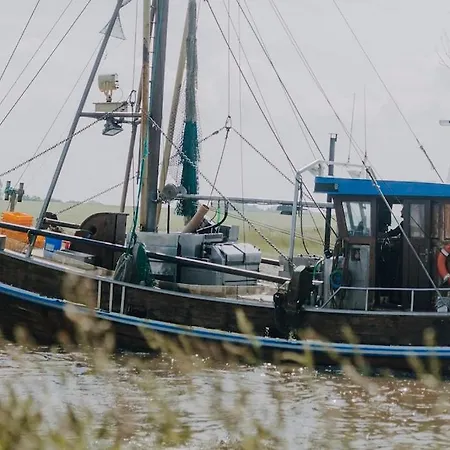 Friesenpark 8 * Wurster Nordseekuste